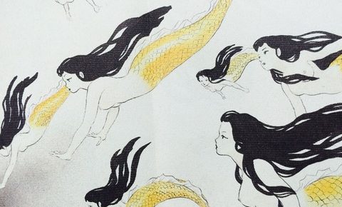 漫画 人魚の謎が次々と発覚 人魚の森 高橋留美子 坂本 脱藩中